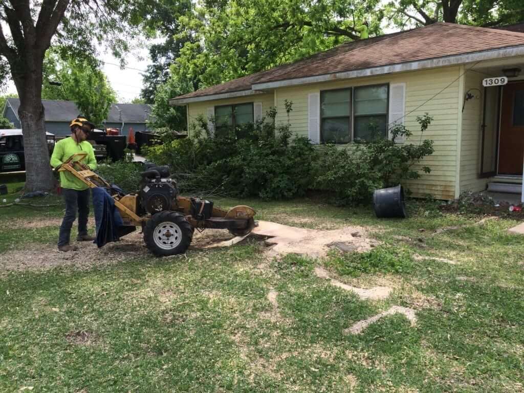 Stump Grinding Cost