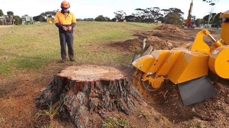 Stump Grinding Cost