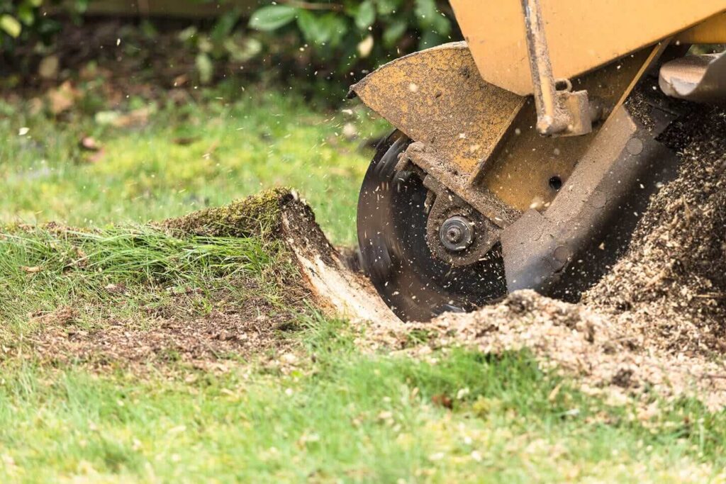 Stump Grinding Cost