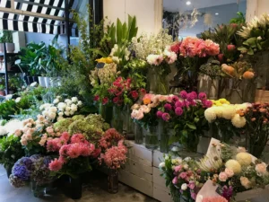 Florist Cremorne: Flowers for Apartment Living on the Lower North Shore