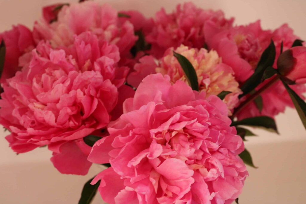 Perfect Peony Bouquet