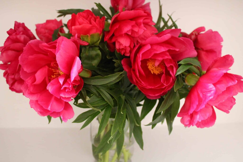 Perfect Peony Bouquet